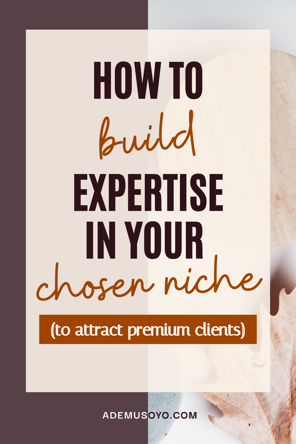The Ultimate Guide to Becoming an Expert in Your Niche, how to become an expert in your field, how to become an expert in your niche